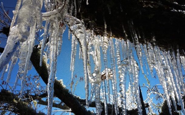 Câmara de Braga alerta para tempo frio