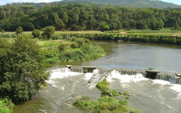 PAN questiona Ministério do Ambiente sobre 