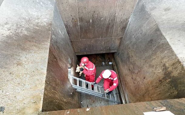 Bombeiros resgatam cão de central de recolha do lixo em Arcos de Valdevez