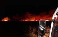 Montalegre fala em “situação de calamidade” com média de 10 fogos rurais/dia