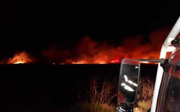 Montalegre fala em “situação de calamidade” com média de 10 fogos rurais/dia