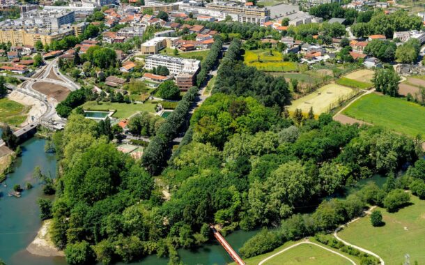 CDU pede “reflexão” sobre o abate de árvores em Guimarães. Câmara explica