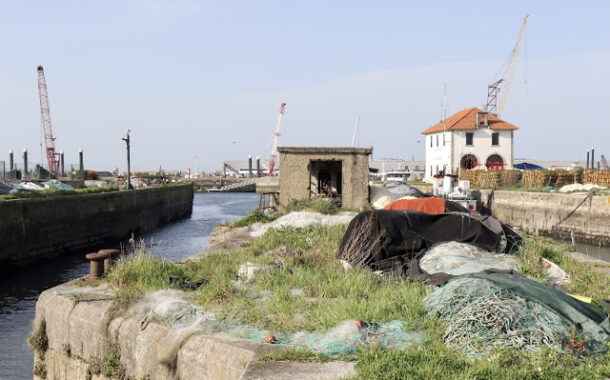 Fotos de blogue obrigam APDL a “devolver dignidade” ao degradado porto de pesca de Viana do Castelo
