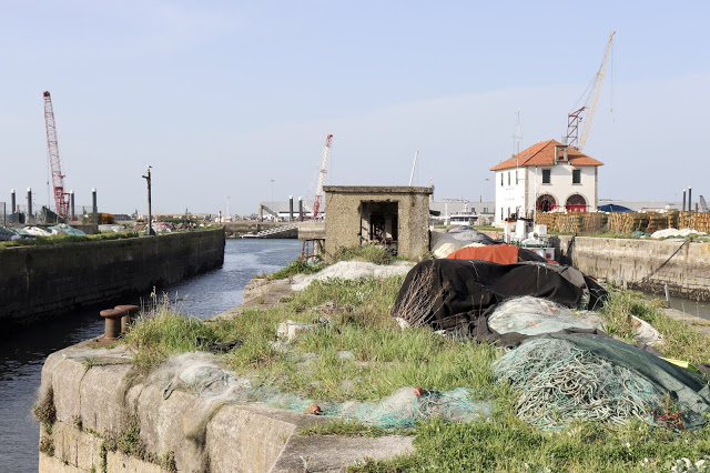 Fotos de blogue obrigam APDL a “devolver dignidade” ao degradado porto de pesca de Viana do Castelo