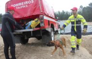 Homem atira-se ao rio para salvar cão e teve de ser resgatado