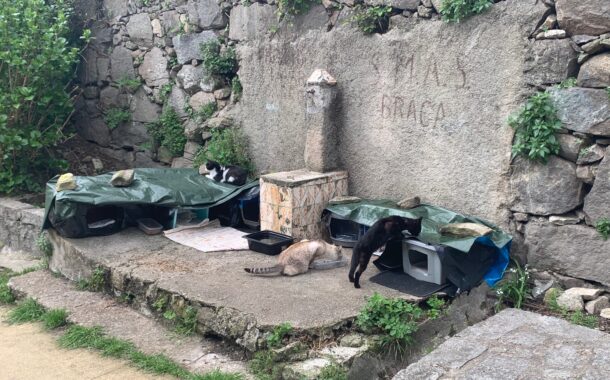 Braga para Todos denuncia abrigos improvisados nos ‘Galos’ e pede explicações à Câmara