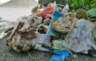 Ambientalista denuncia lixeira “chocante” no Santuário do Bom Jesus de Braga