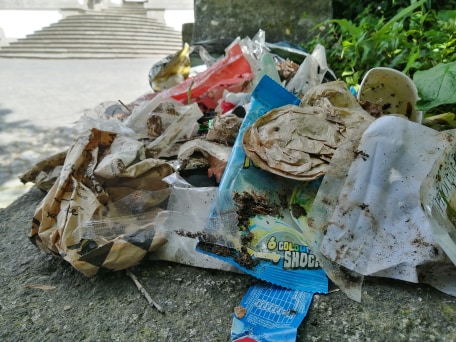 Ambientalista denuncia lixeira “chocante” no Santuário do Bom Jesus de Braga