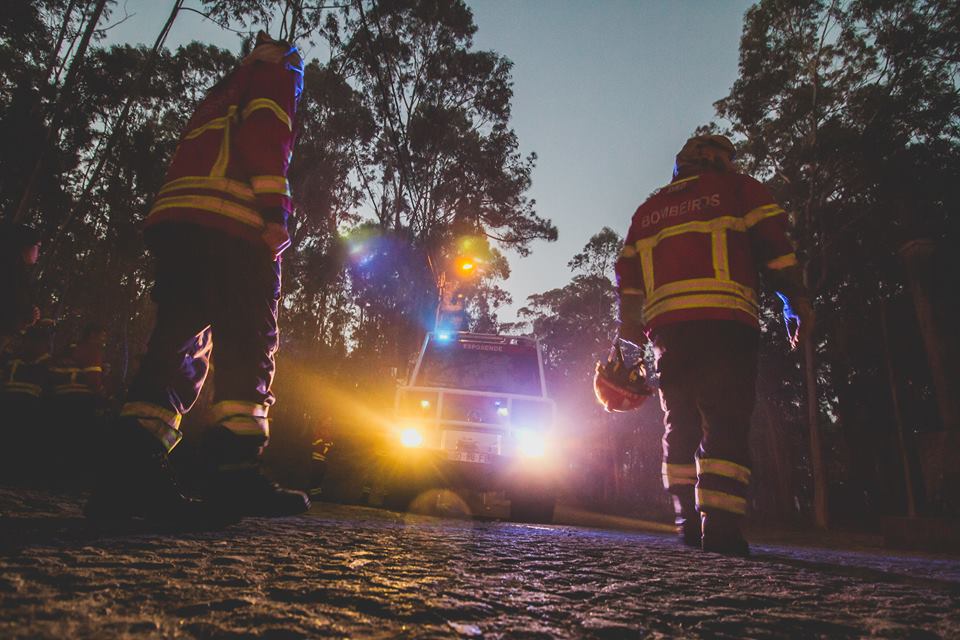 Comissão de Defesa da Floresta de Esposende aprova plano contra incêndios
