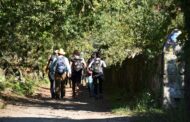 ‘Caminho de Torres’. 23 km de caminhada por descobrir em Ponte de Lima
