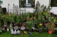 GNR de Viana do Castelo detém homem por furto de quase 5.000 euros em plantas
