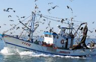 Pescadores do Norte param actividade esta quarta-feira em protesto contra “fiscalizações excessivas”