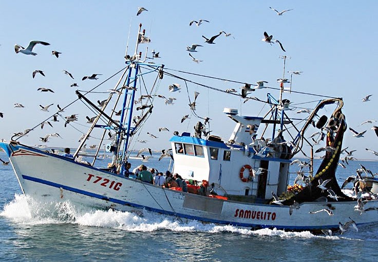 Pescadores do Norte param actividade esta quarta-feira em protesto contra “fiscalizações excessivas”