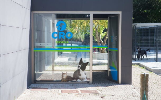 PAN diz que suspensão de voluntariado compromete bem-estar animal no ‘canil’ de Braga