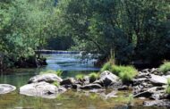 Praia fluvial de Braga repete distinção ‘Qualidade Ouro’