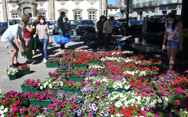 Meio milhar de floreiras embeleza centro histórico da cidade