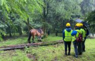 Paredes de Coura avança com Laboratório Rural em parceria com universidades portuguesas e espanholas
