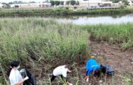Voluntários recolhem 1,35 toneladas de resíduos nas praias e zonas ribeirinhas de Esposende