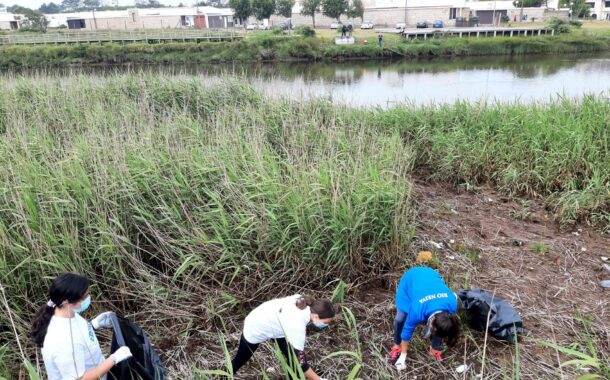 Voluntários recolhem 1,35 toneladas de resíduos nas praias e zonas ribeirinhas de Esposende