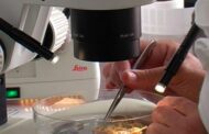 INL de Braga e UMinho voltam a integrar Noite Europeia dos Investigadores dedicada à Ciência para o Clima