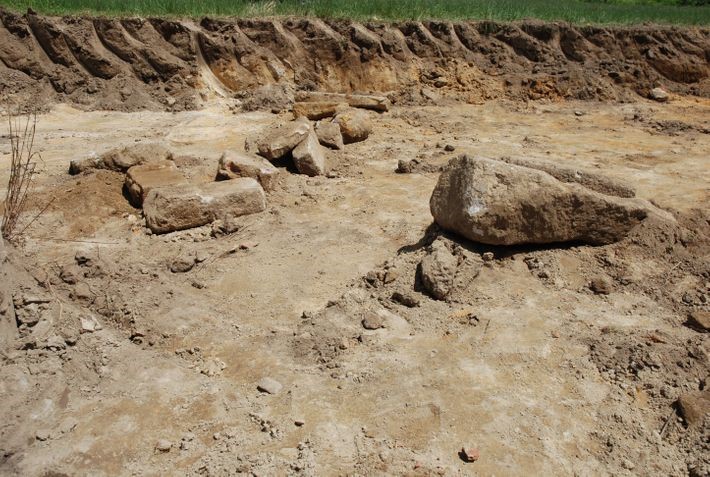 National Geographic destaca descoberta de vestígios da Alta Idade Média descobertos em paróquia de Barcelos