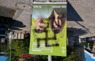 Autárquicas. Cartaz do PAN vandalizado em Guimarães