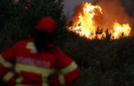 PJ detém desempregado por suspeita de atear fogos florestais em Celorico de Basto