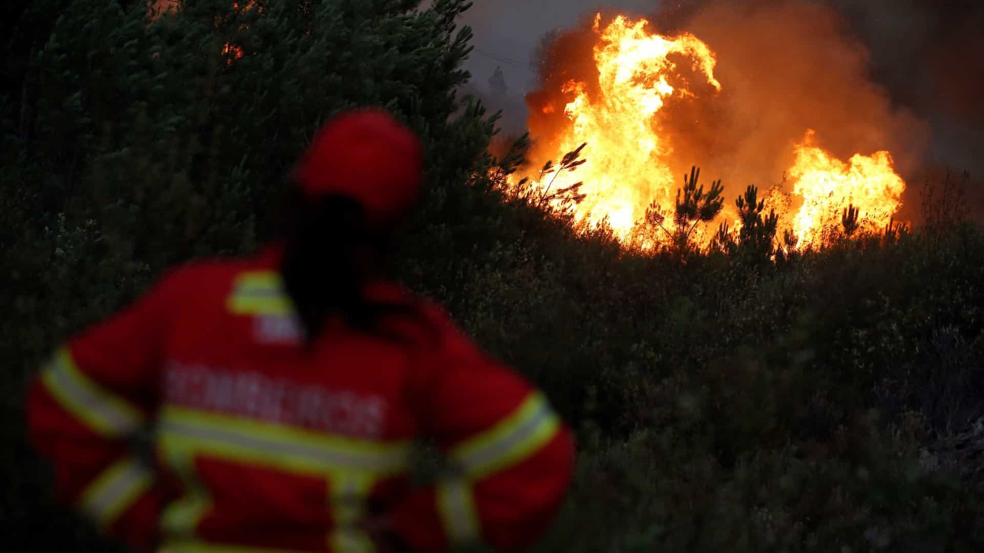 PJ detém desempregado por suspeita de atear fogos florestais em Celorico de Basto