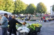 Mercado das Flores na praça do Município, em Braga