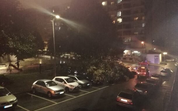 Mau tempo. Árvore cai em Braga e atinge sete automóveis