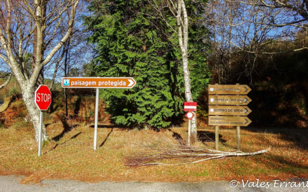 Paredes de Coura celebra Dia da Floresta Autóctone a plantar o equivalente a 24 campos de futebol