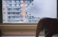 Quase 20% da população portuguesa passa frio