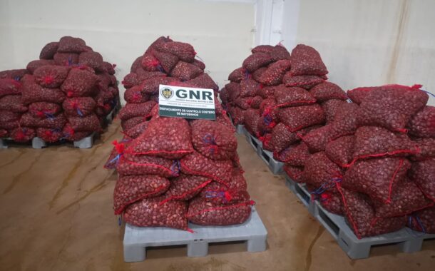 GNR apreende quase cinco toneladas de ameijoa em Barcelos