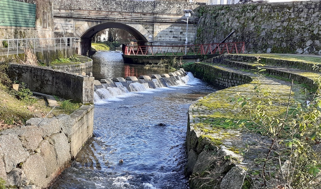 PAN quer maior investimento na protecção dos rios de Braga já em 2022