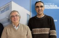 Dois dos cientistas mais citados no mundo são da UMinho