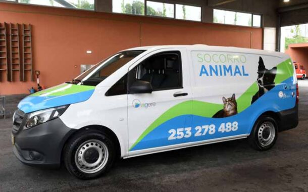 PAN Braga quer Bombeiros Voluntários com reforço de meios e enfermeiro veterinário na ambulância animal dos Sapadores