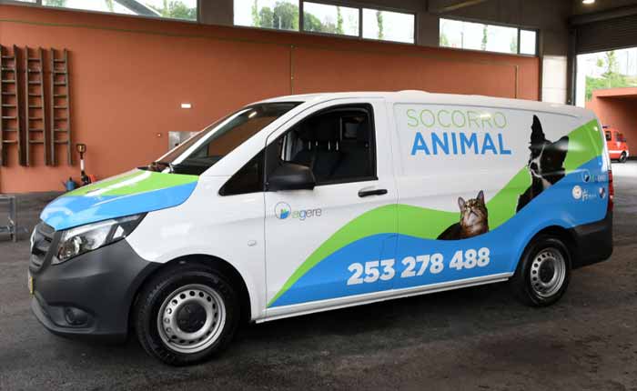 PAN Braga quer Bombeiros Voluntários com reforço de meios e enfermeiro veterinário na ambulância animal dos Sapadores