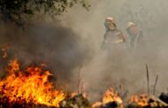 PJ detém desempregado por suspeita de atear fogos em Barcelos