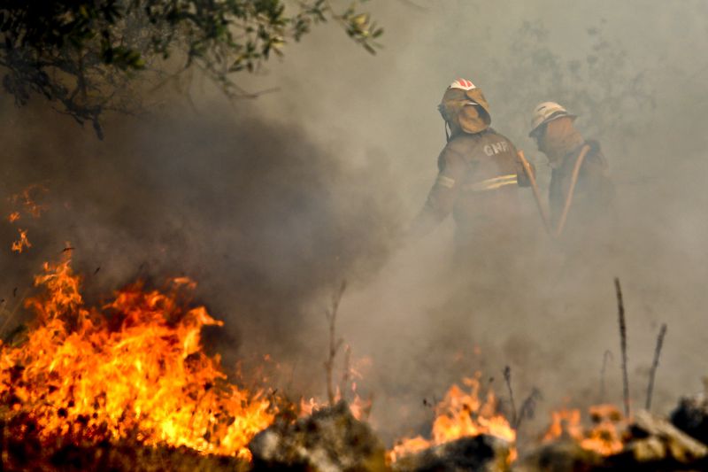 PJ detém desempregado por suspeita de atear fogos em Barcelos