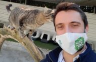 LEGISLATIVAS. Rafael Pinto defende em Guimarães mais apoio do Estado a programas escolares de bem-estar animal