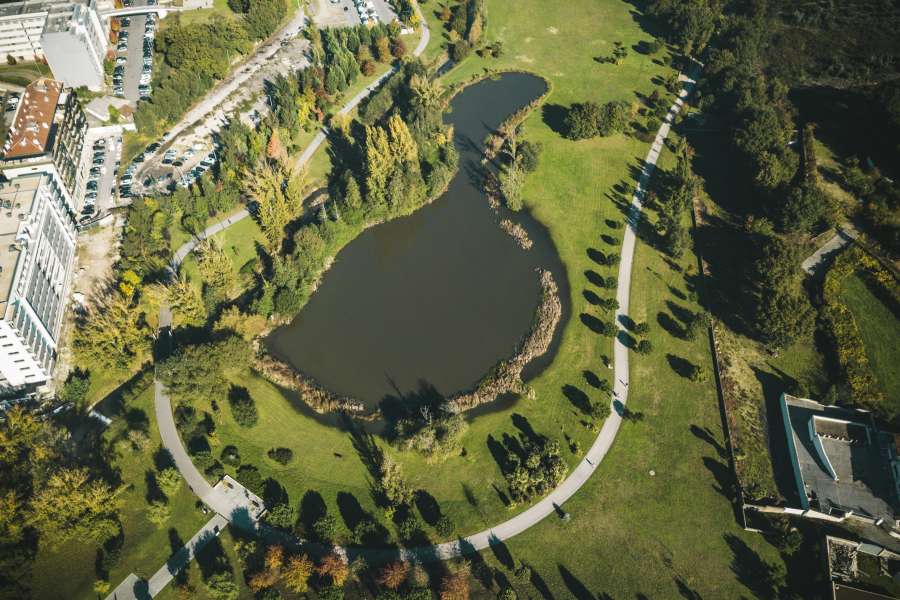 Famalicão em Transição não desiste em tribunal da defesa das hortas urbanas e integridade do Parque da Devesa