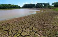 Direcção-Geral de Agricultura activa planos de contingência nas zonas mais afectadas pela seca