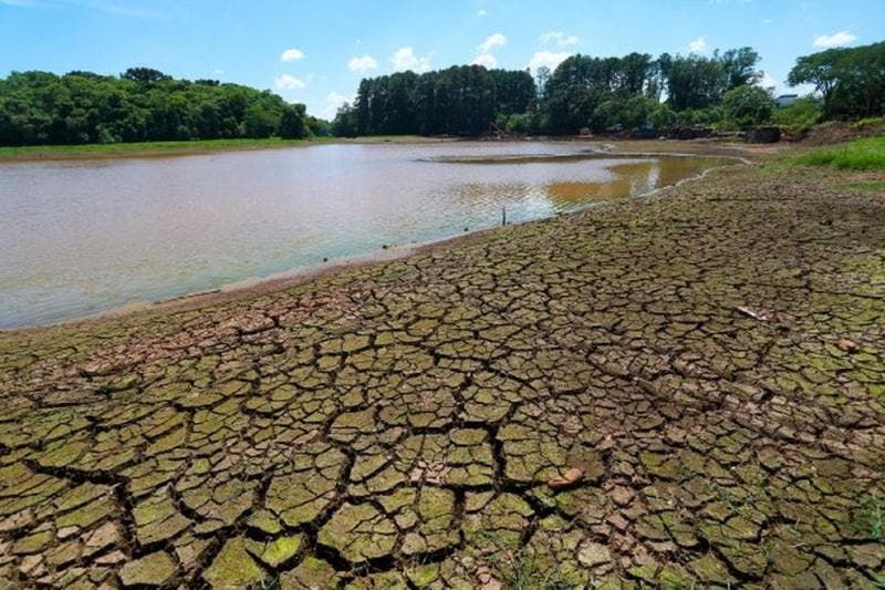 Direcção-Geral de Agricultura activa planos de contingência nas zonas mais afectadas pela seca