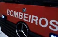 Homem encontrado morto junto a oliveira em Ponte de Lima