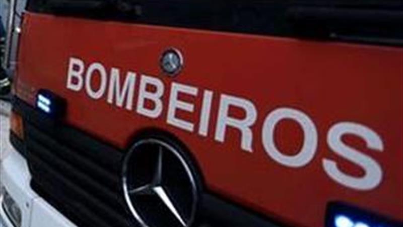 Homem encontrado morto junto a oliveira em Ponte de Lima