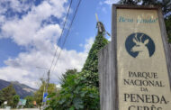 Dezenas de organizações e personalidades exigem medidas para controlar espécies invasoras no Parque Nacional