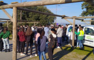Alunos de escola de Braga plantaram mais de 100 árvores no Monte Picoto