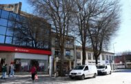 PAN chama “crime ambiental” ao abate das árvores no centro de Famalicão