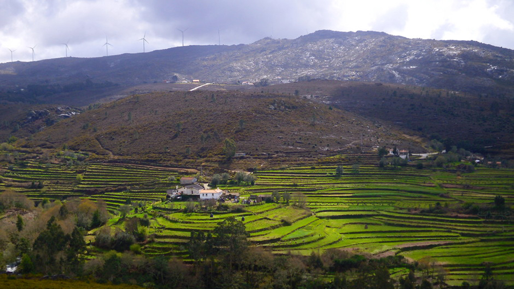Comunistas de Viana do Castelo exigem valorização da Serra D’Arga