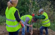 Bom Jesus de Braga comemora Dia Mundial da Árvore com plantação de espécies autóctones